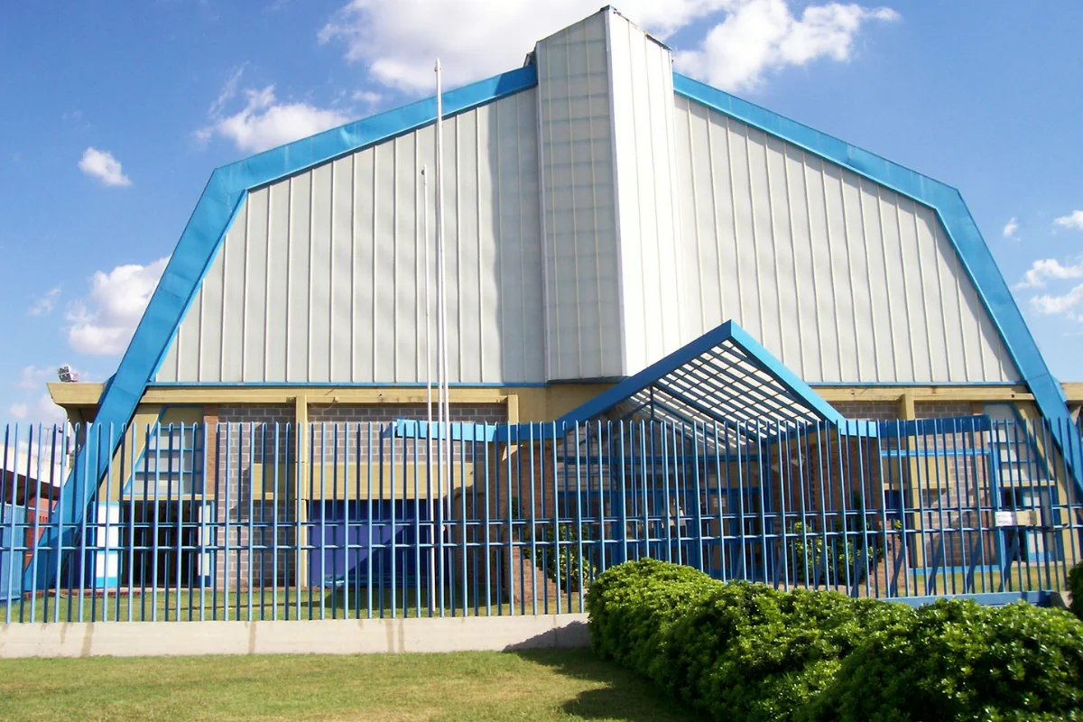 Obra Estudio Cane