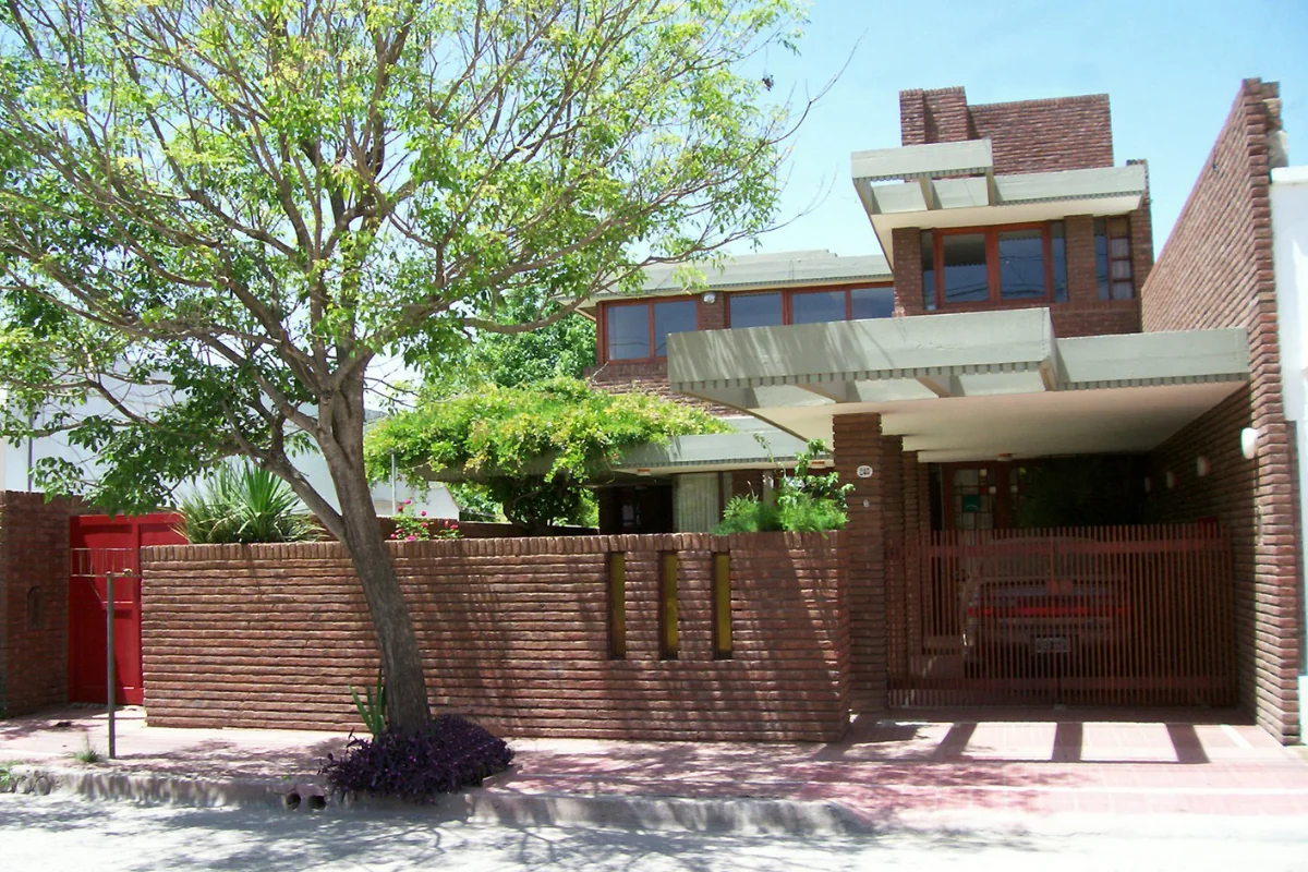 Obra Estudio Cane