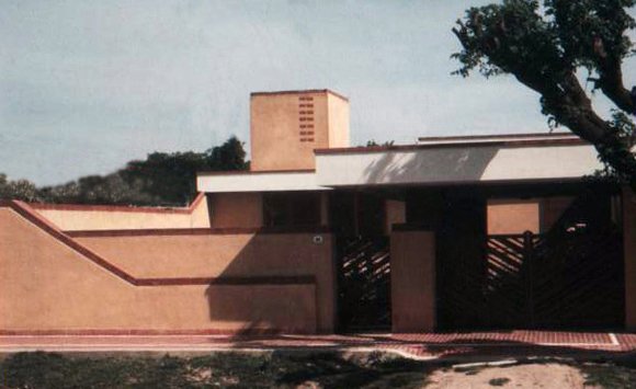Obra Estudio Cane