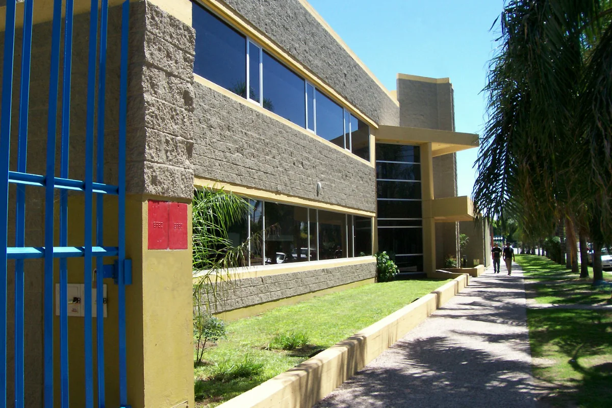 Obra Estudio Cane
