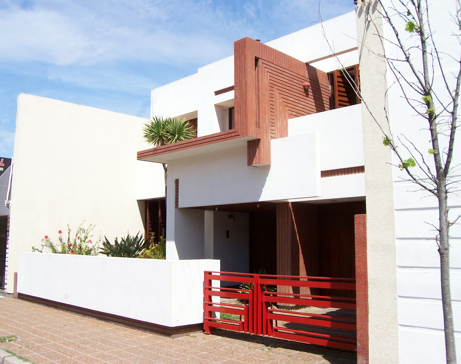 Obra Estudio Cane