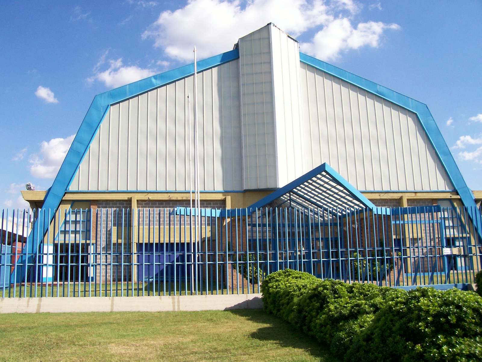 Obra Estudio Cane